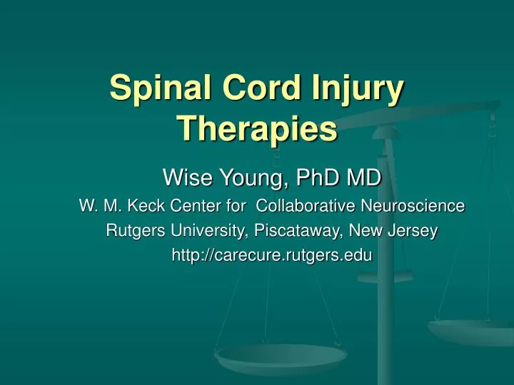 spinal cord injury therapies