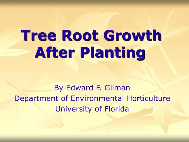 tree root growth after planting