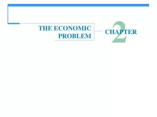 THE ECONOMIC PROBLEM