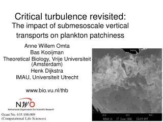 Critical turbulence revisited: The impact of submesoscale vertical transports on plankton patchiness