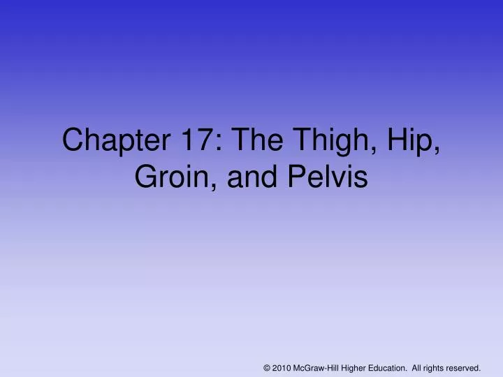 chapter 17 the thigh hip groin and pelvis