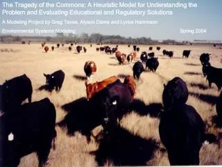 The Tragedy of the Commons: A Heuristic Model for Understanding the Problem and Evaluating Educational and Regulatory So