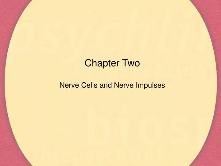chapter two nerve cells and nerve impulses