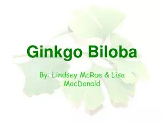 Ginkgo Biloba