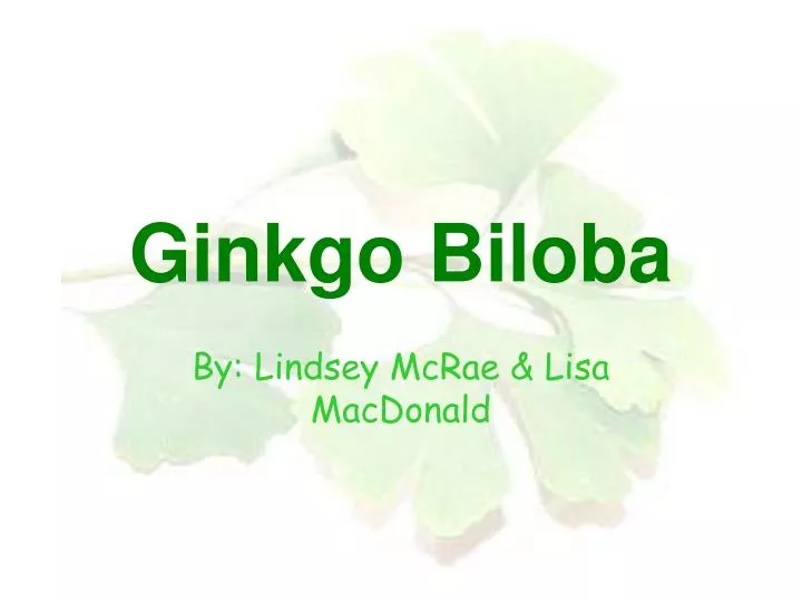 ginkgo biloba