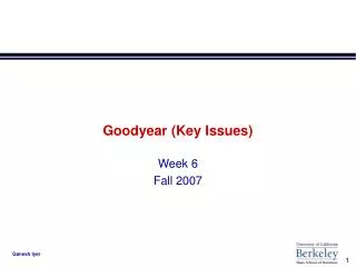 Goodyear (Key Issues)