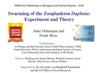 Swarming of the Zooplankton Daphnia : Experiment and Theory