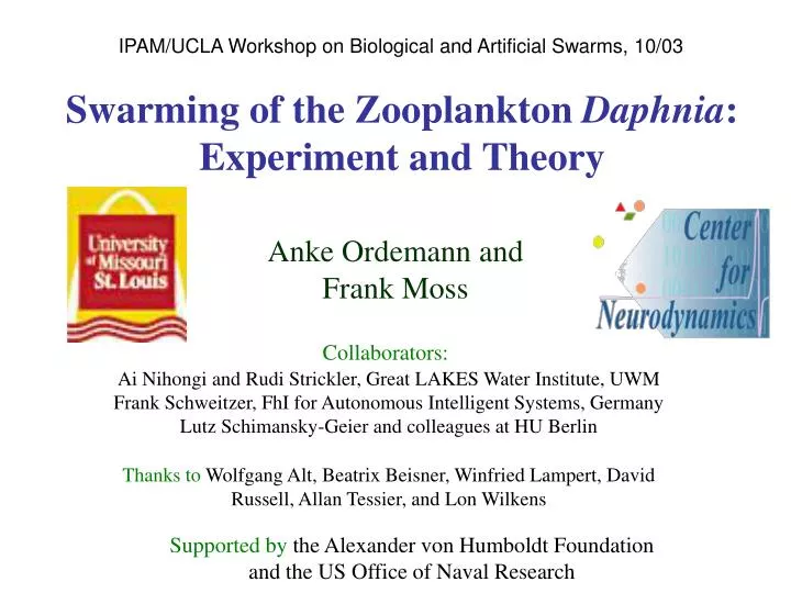swarming of the zooplankton daphnia experiment and theory