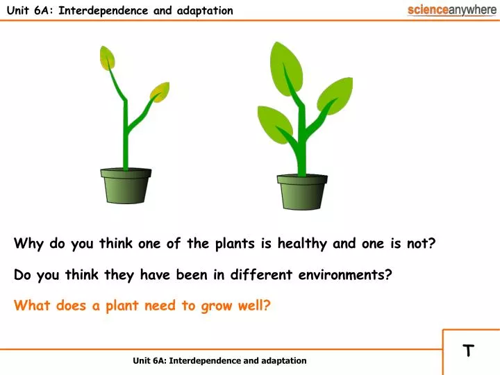 unit 6a interdependence and adaptation