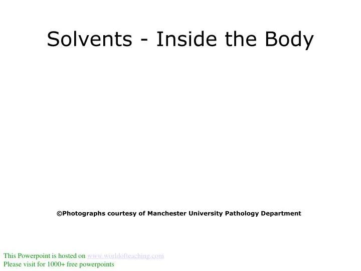 solvents inside the body