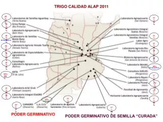 TRIGO CALIDAD ALAP 2011