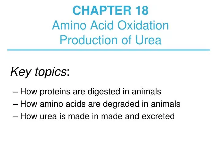 chapter 18 amino acid oxidation production of urea