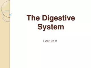 The Digestive System