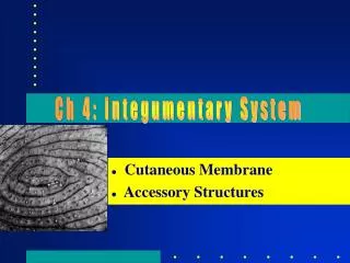 Cutaneous Membrane Accessory Structures