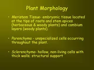 plant morphology