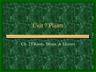 Unit 7 Plants
