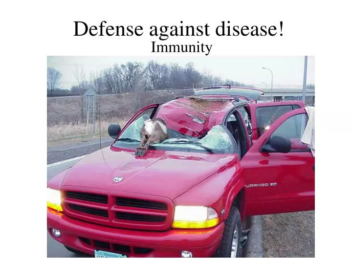 defense against disease