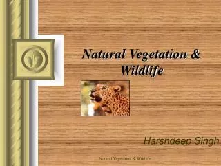Natural Vegetation &amp; Wildlife