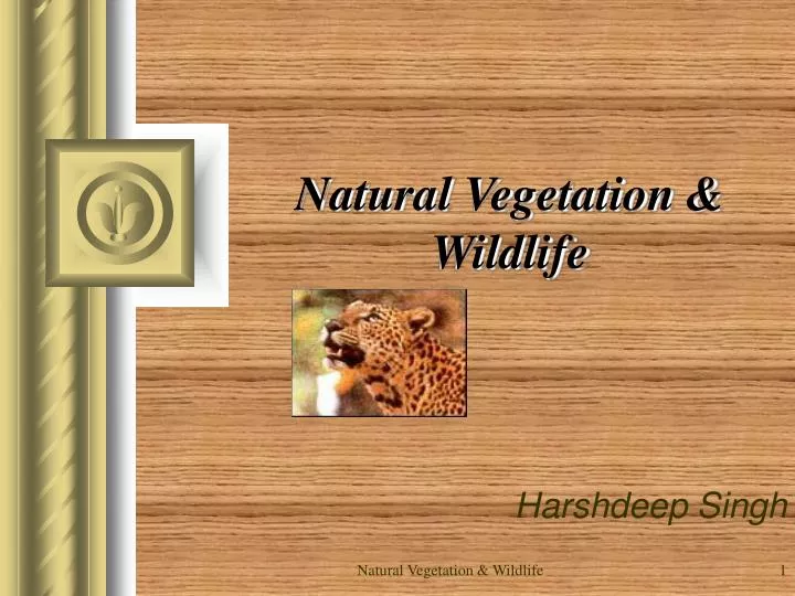 natural vegetation wildlife