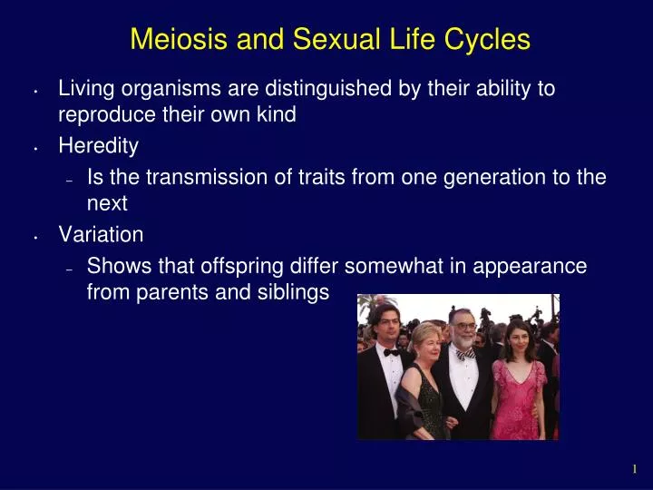 meiosis and sexual life cycles