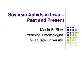 Soybean Aphids in Iowa – Past and Present