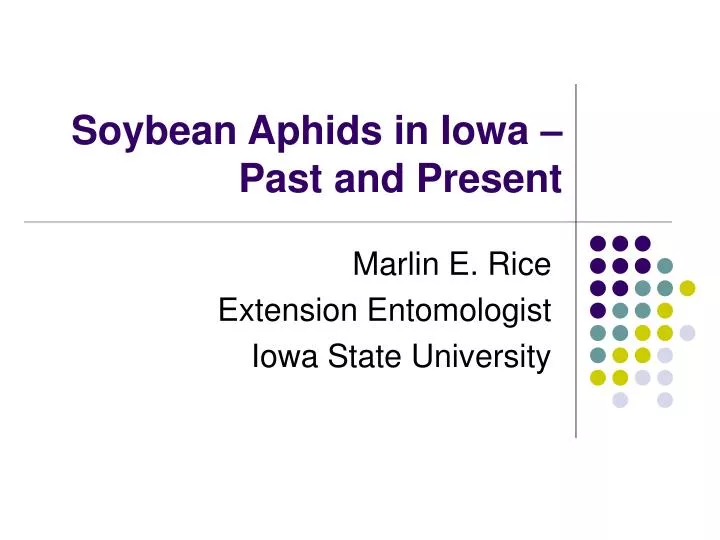 soybean aphids in iowa past and present