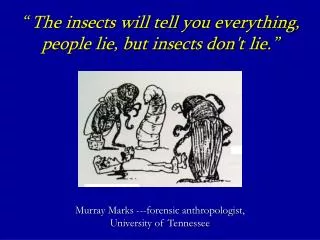 “ The insects will tell you everything, people lie, but insects don't lie.” Murray Marks ---forensic anthropologist, Un