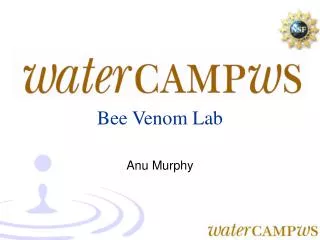 Bee Venom Lab Anu Murphy