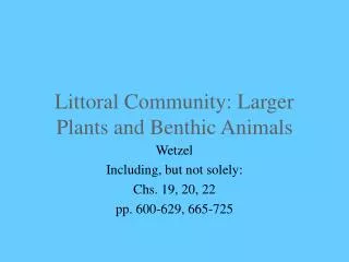 Littoral Community: Larger Plants and Benthic Animals