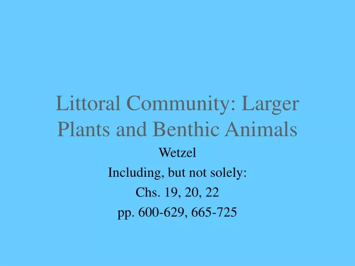 littoral community larger plants and benthic animals