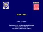 Stem Cells - slide 1