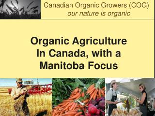 Organic Agriculture In Canada, with a Manitoba Focus