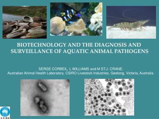 BIOTECHNOLOGY AND THE DIAGNOSIS AND SURVEILLANCE OF AQUATIC ANIMAL PATHOGENS
