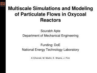 Multiscale Simulations and Modeling of Particulate Flows in Oxycoal Reactors
