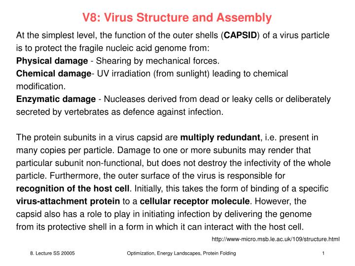 v8 virus structure and assembly