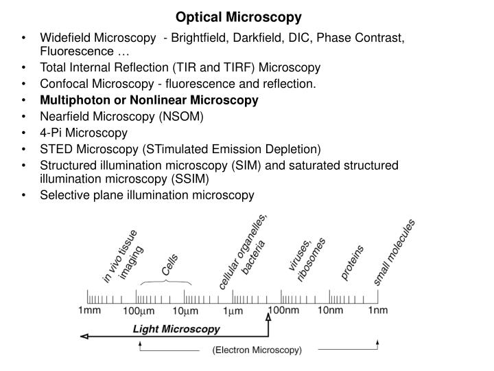 optical microscopy
