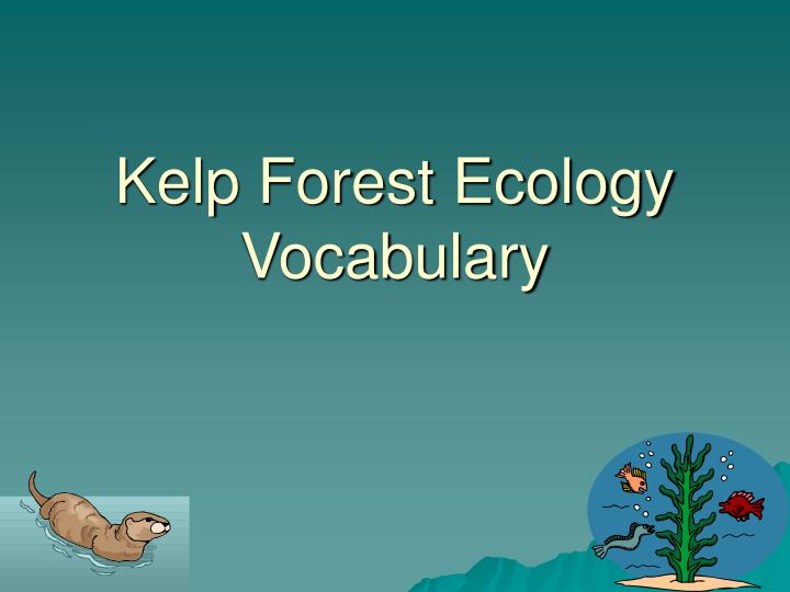 kelp forest ecology vocabulary
