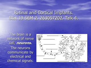 Retinal and Cortical Implants. Stat 19 SEM 2. 263057202. Talk 4.
