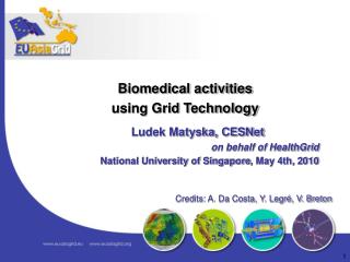 Ludek Matyska, CESNet on behalf of HealthGrid National University of Singapore , May 4th, 2010