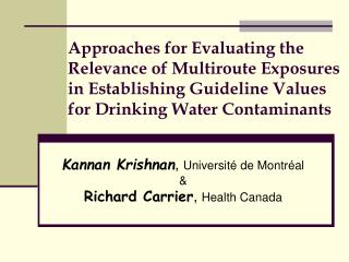 Approaches for Evaluating the Relevance of Multiroute Exposures in Establishing Guideline Values for Drinking Water Cont
