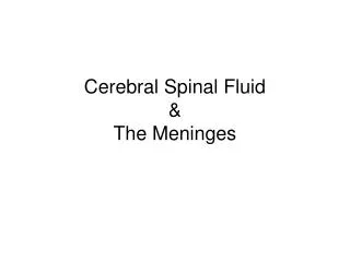 Cerebral Spinal Fluid &amp; The Meninges