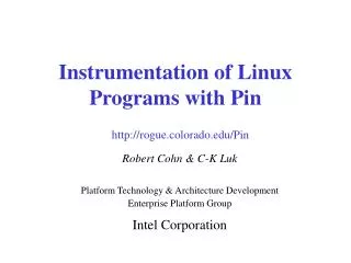 Instrumentation of Linux Programs with Pin