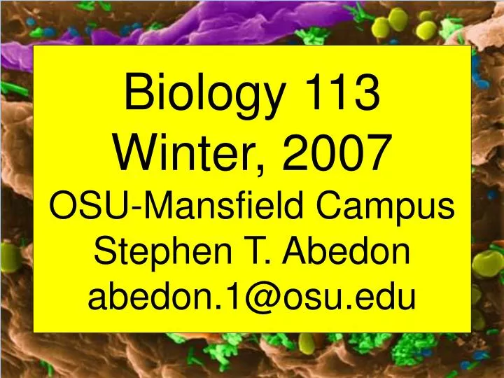 biology 113 winter 2007 osu mansfield campus stephen t abedon abedon 1@osu edu