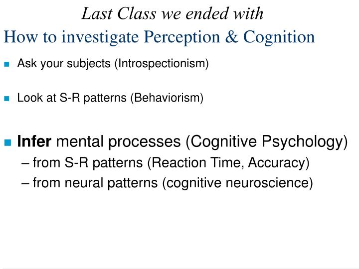 how to investigate perception cognition