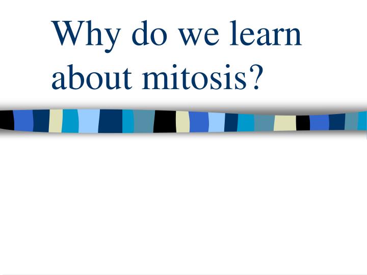 why do we learn about mitosis