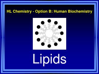 HL Chemistry - Option B: Human Biochemistry