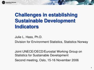Challenges in establishing Sustainable Development Indicators