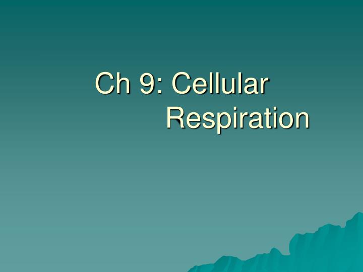 ch 9 cellular respiration