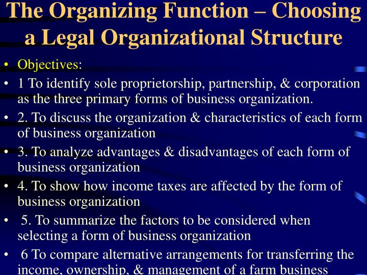 the organizing function choosing a legal organizational structure