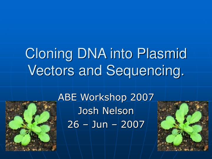 cloning dna into plasmid vectors and sequencing